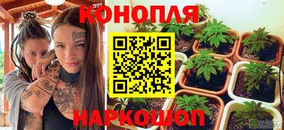 прущие грибы Кунгур