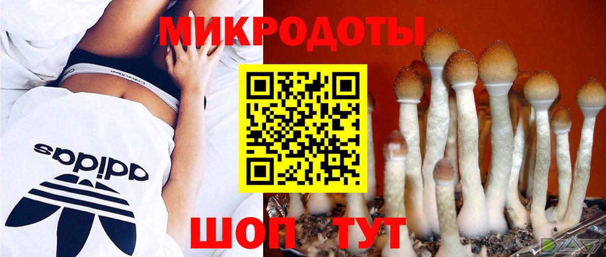 Псилоцибиновые грибы Psilocybine cubensis  Псилоцибиновые грибы прущие грибы  где продают наркотики  Вход с VPN  Кинель 